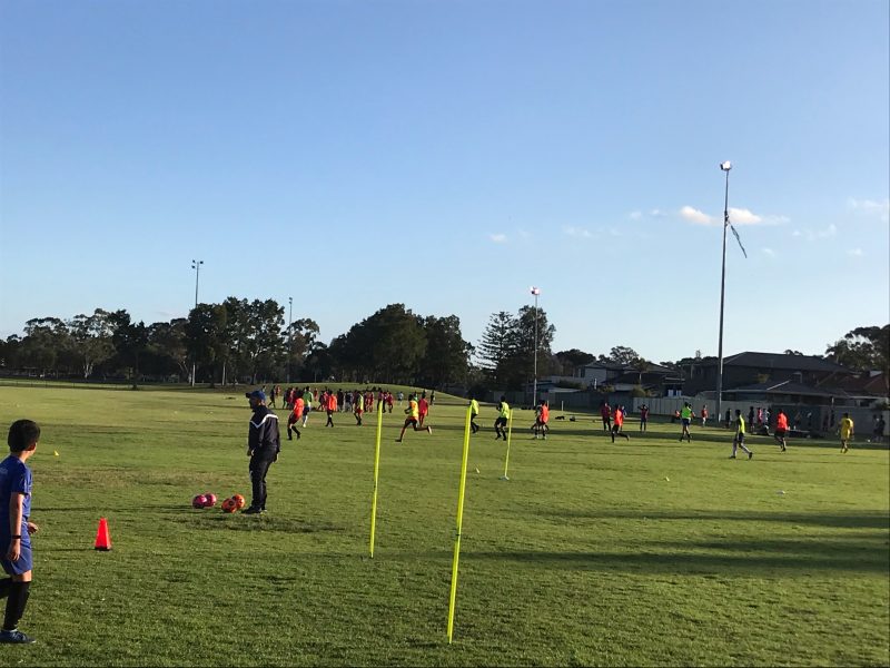 Parramatta Eagles training
